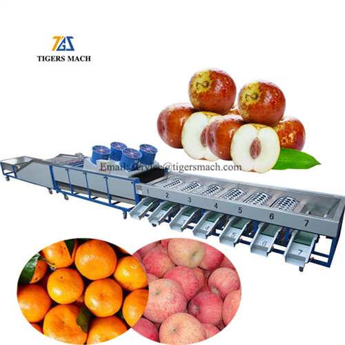 Картофель Размер Грейдер