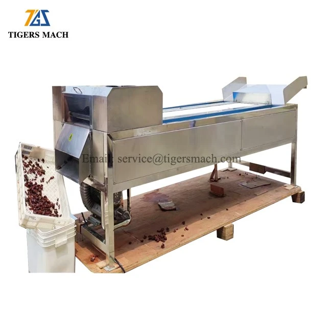 Automatic Strawberry Cutting Machinery